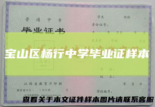 宝山区杨行中学毕业证样本