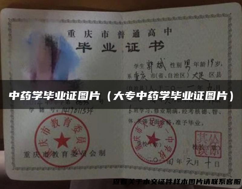 中药学毕业证图片（大专中药学毕业证图片）