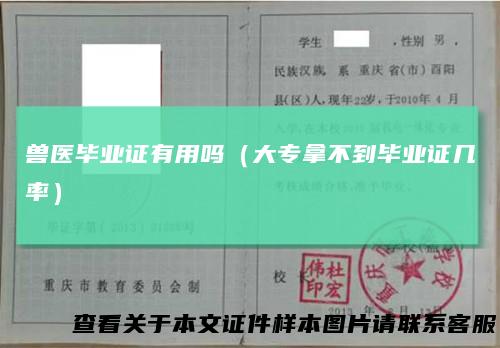 兽医毕业证有用吗（大专拿不到毕业证几率）