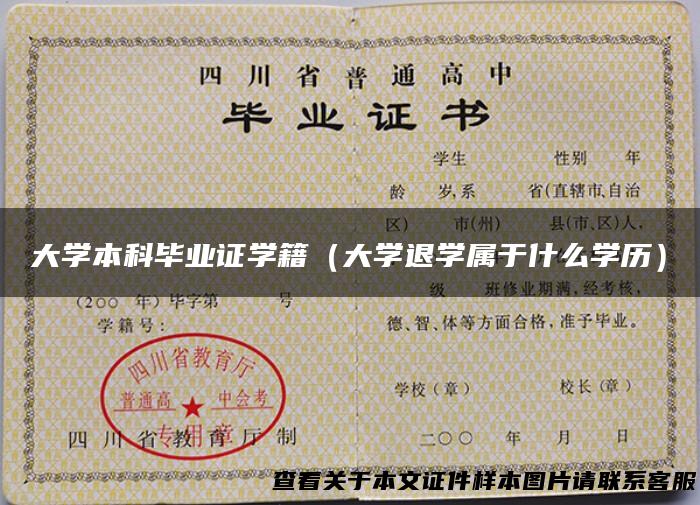 大学本科毕业证学籍（大学退学属于什么学历）