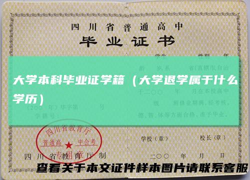 大学本科毕业证学籍（大学退学属于什么学历）