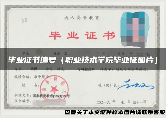 毕业证书编号（职业技术学院毕业证图片）