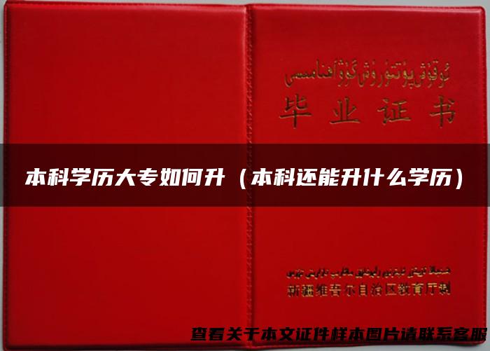 本科学历大专如何升（本科还能升什么学历）