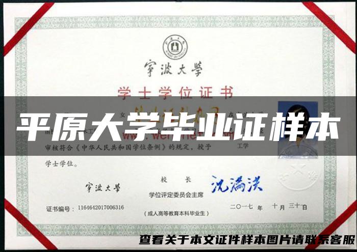 平原大学毕业证样本