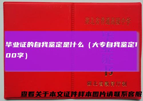 毕业证的自我鉴定是什么（大专自我鉴定100字）