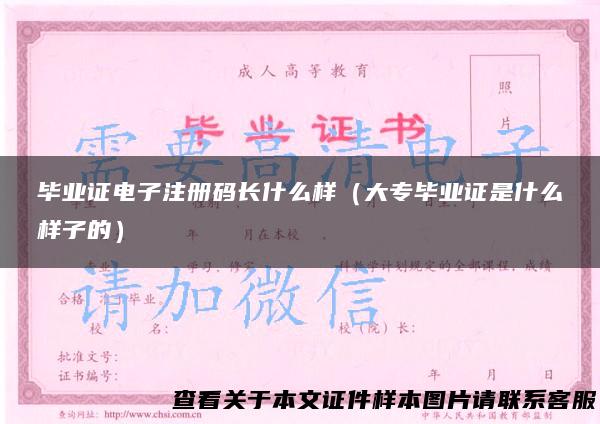 毕业证电子注册码长什么样（大专毕业证是什么样子的）