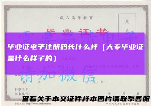 毕业证电子注册码长什么样（大专毕业证是什么样子的）
