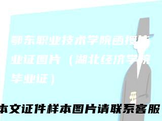 鄂东职业技术学院函授毕业证图片（湖北经济学院毕业证）
