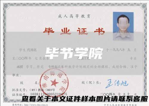 毕节学院