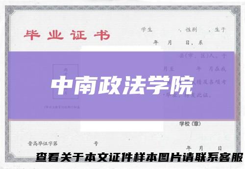 中南政法学院