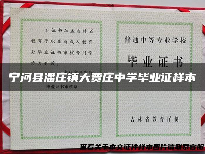 宁河县潘庄镇大贾庄中学毕业证样本
