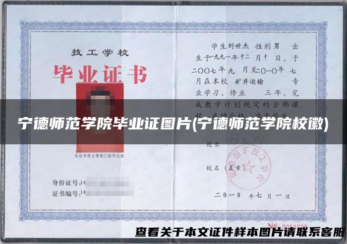 宁德师范学院毕业证图片(宁德师范学院校徽)