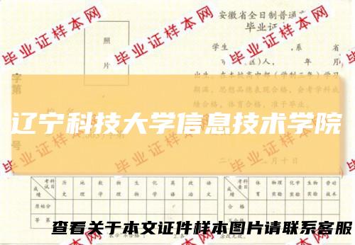 辽宁科技大学信息技术学院