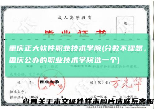 重庆正大软件职业技术学院(分数不理想，重庆公办的职业技术学院选一个)
