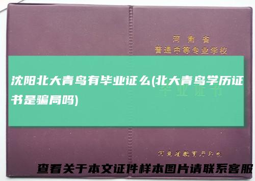 沈阳北大青鸟有毕业证么(北大青鸟学历证书是骗局吗)