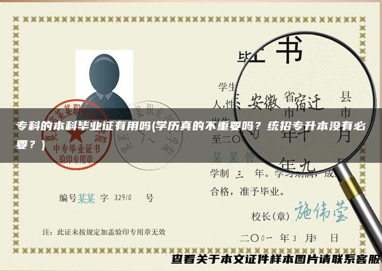 专科的本科毕业证有用吗(学历真的不重要吗？统招专升本没有必要？)