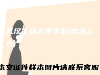 武汉工程大学专科(走进工大)
