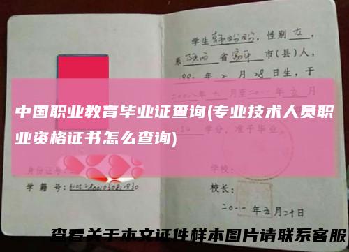 中国职业教育毕业证查询(专业技术人员职业资格证书怎么查询)