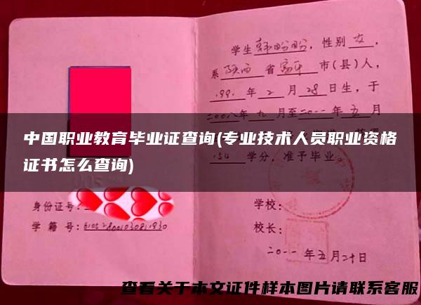 中国职业教育毕业证查询(专业技术人员职业资格证书怎么查询)