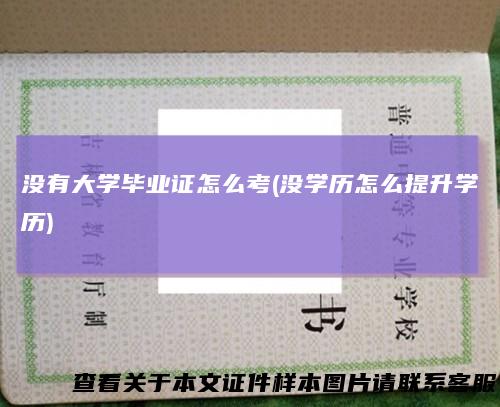 没有大学毕业证怎么考(没学历怎么提升学历)
