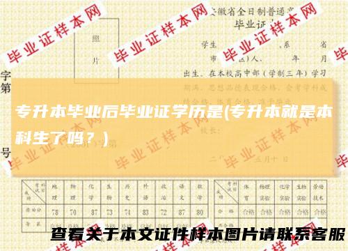 专升本毕业后毕业证学历是(专升本就是本科生了吗？)