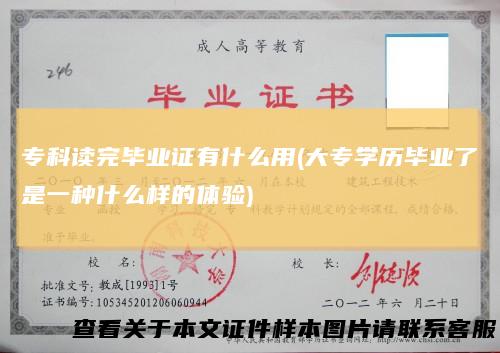 专科读完毕业证有什么用(大专学历毕业了是一种什么样的体验)