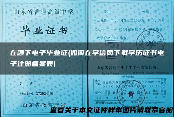 在哪下电子毕业证(如何在学信网下载学历证书电子注册备案表)