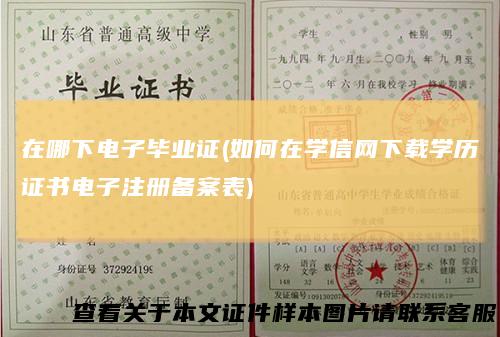 在哪下电子毕业证(如何在学信网下载学历证书电子注册备案表)