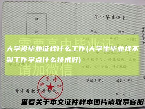大学没毕业证找什么工作(大学生毕业找不到工作学点什么技术好)