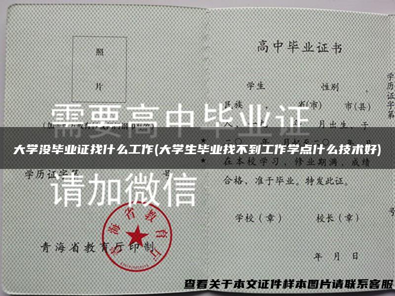 大学没毕业证找什么工作(大学生毕业找不到工作学点什么技术好)