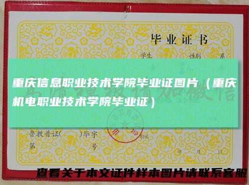 重庆信息职业技术学院毕业证图片(重庆机电职业技术学院毕业证)