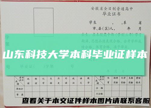 山东科技大学本科毕业证样本