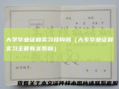 大学毕业证和实习挂钩吗（大专毕业证和实习主管有关系吗）