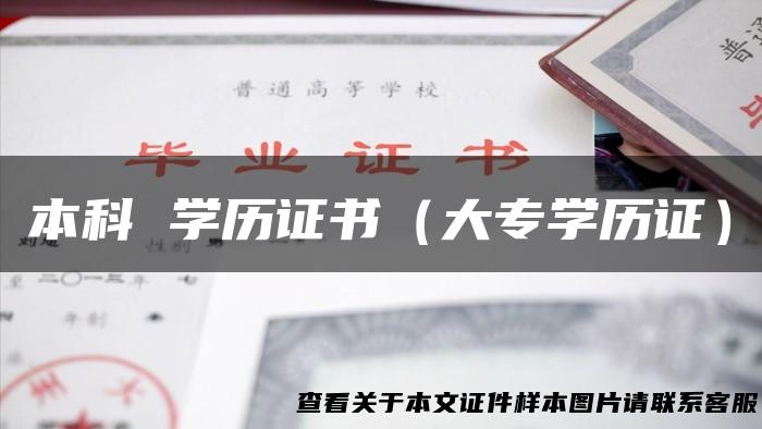 本科 学历证书（大专学历证）