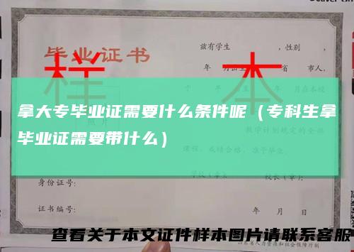 拿大专毕业证需要什么条件呢（专科生拿毕业证需要带什么）