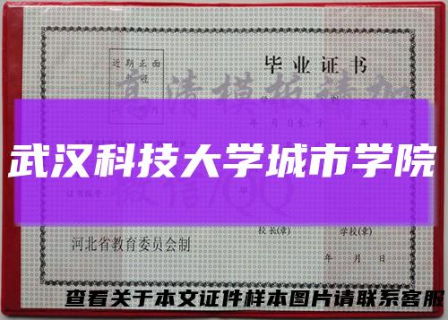 武汉科技大学城市学院