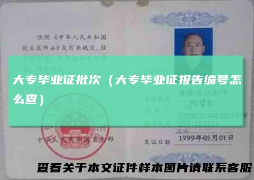 大专毕业证批次(大专毕业证报告编号怎么查)