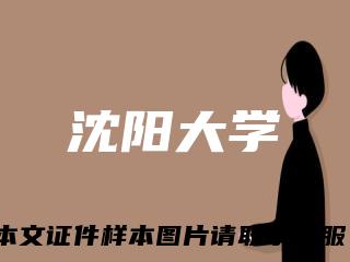 沈阳大学