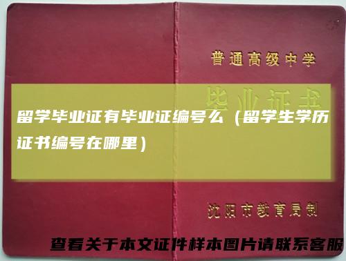 留学毕业证有毕业证编号么（留学生学历证书编号在哪里）