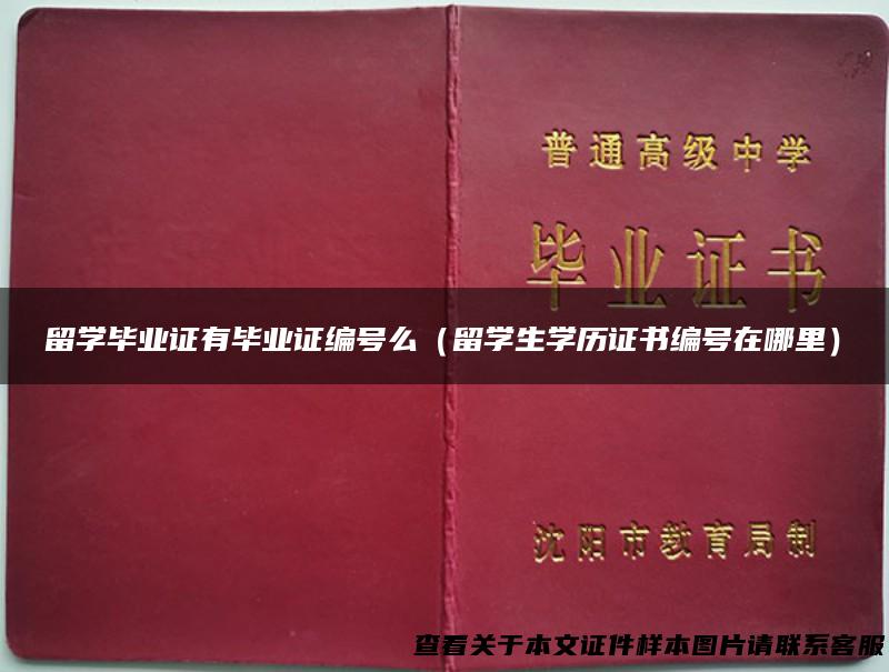 留学毕业证有毕业证编号么（留学生学历证书编号在哪里）