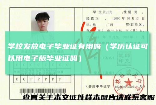 学校发放电子毕业证有用吗(学历认证可以用电子版毕业证吗)