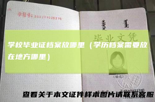 学校毕业证档案放哪里（学历档案需要放在地方哪里）