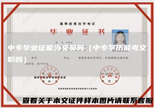 中专毕业证能当文员吗(中专学历能考文职吗)