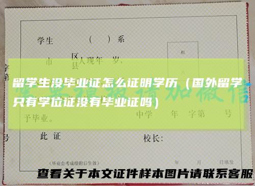 留学生没毕业证怎么证明学历(国外留学只有学位证没有毕业证吗)