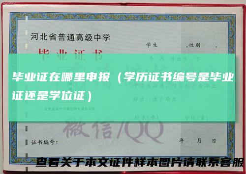 毕业证在哪里申报(学历证书编号是毕业证还是学位证)
