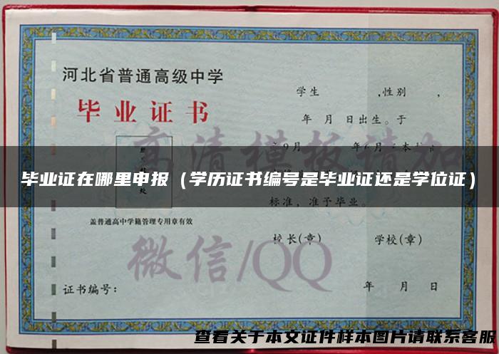毕业证在哪里申报（学历证书编号是毕业证还是学位证）