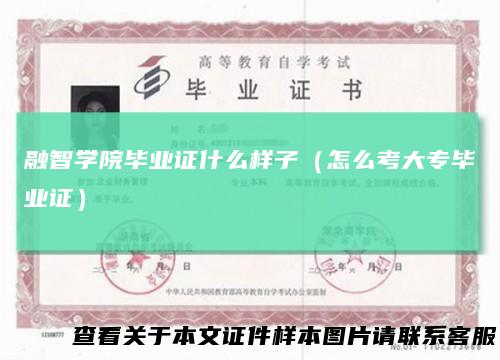 融智学院毕业证什么样子（怎么考大专毕业证）