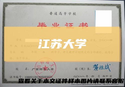 江苏大学