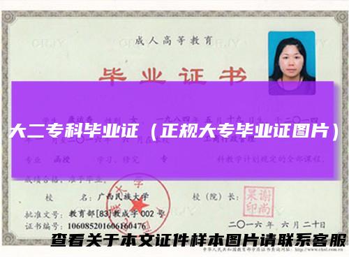 大二专科毕业证（正规大专毕业证图片）