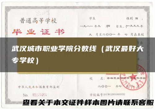 武汉城市职业学院分数线（武汉最好大专学校）